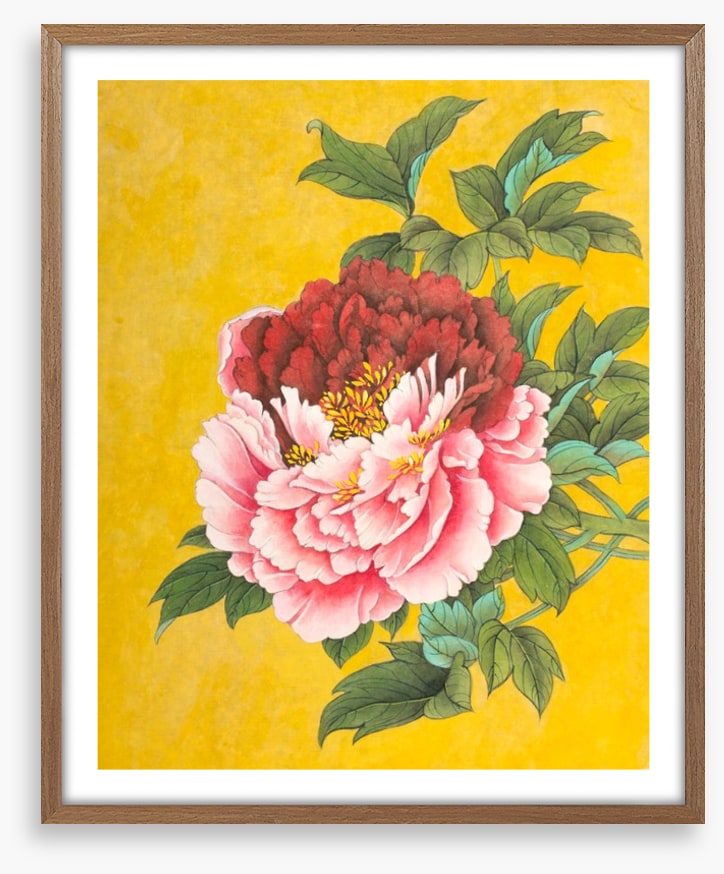 Peony on yellow