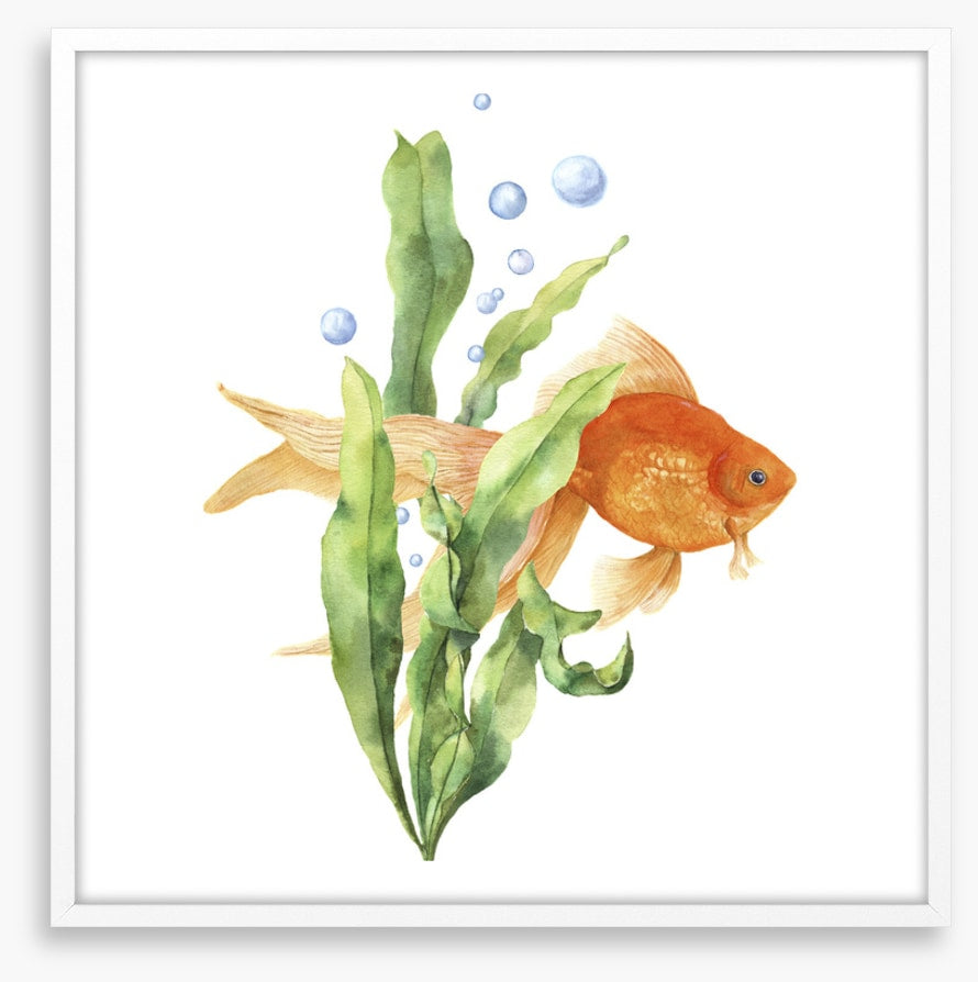 Seaweed solace