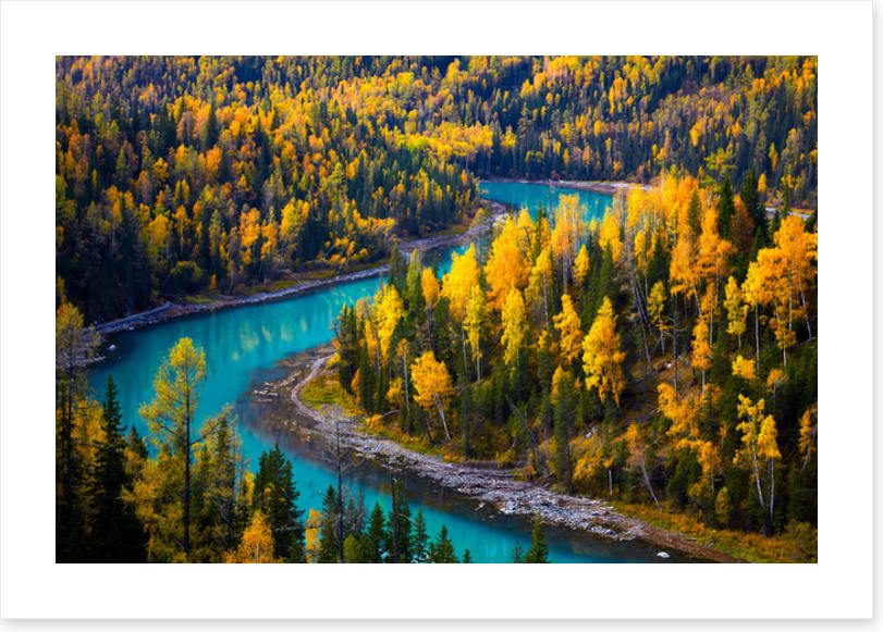 Winding through fall