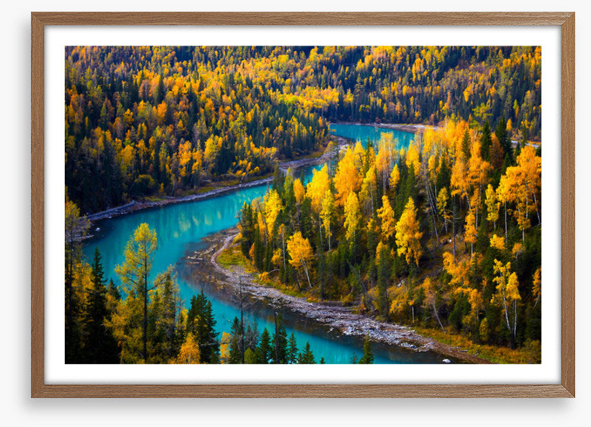 Winding through fall