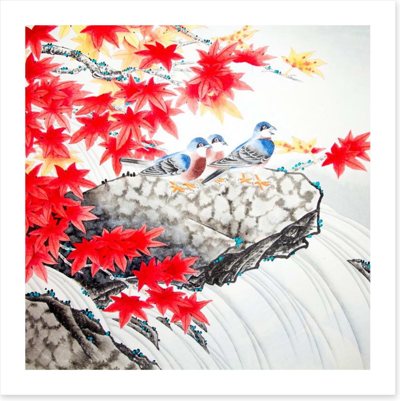 Red maple birds