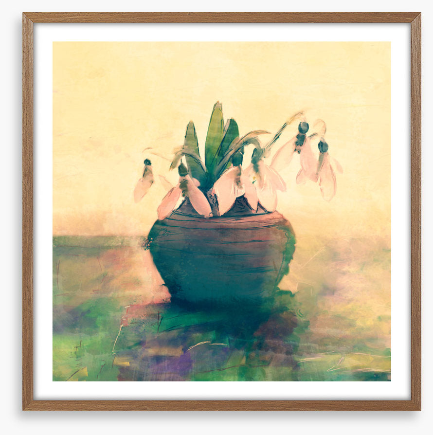 Still Life