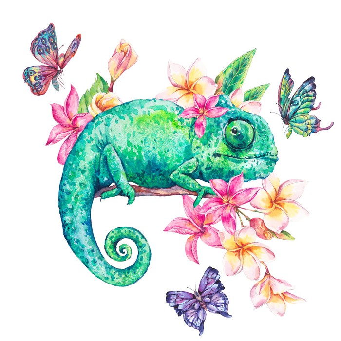 Frangipani chameleon