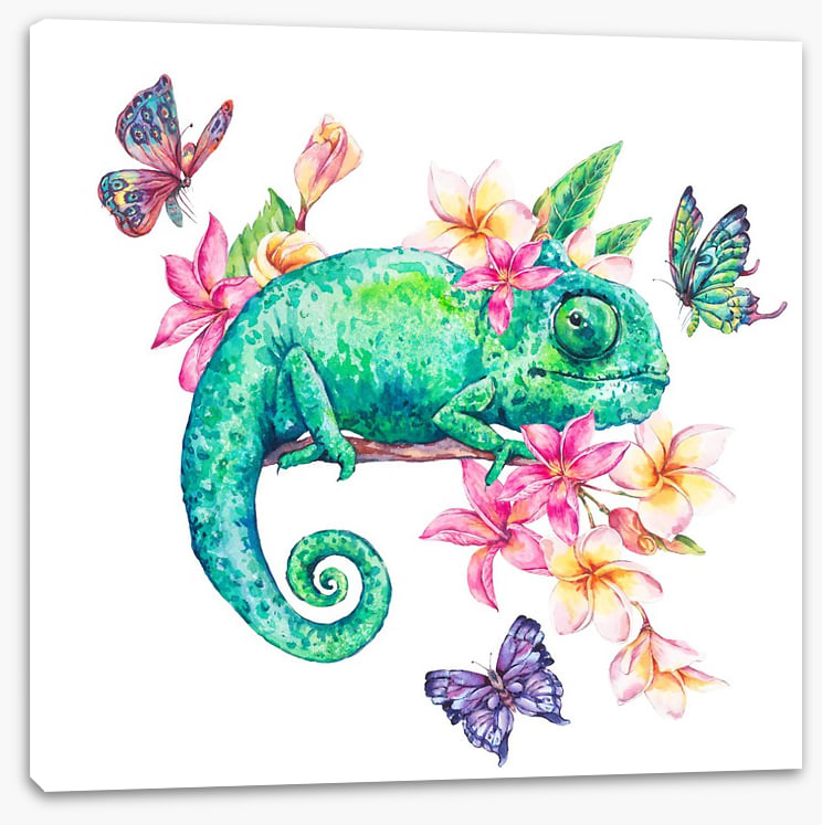Frangipani chameleon