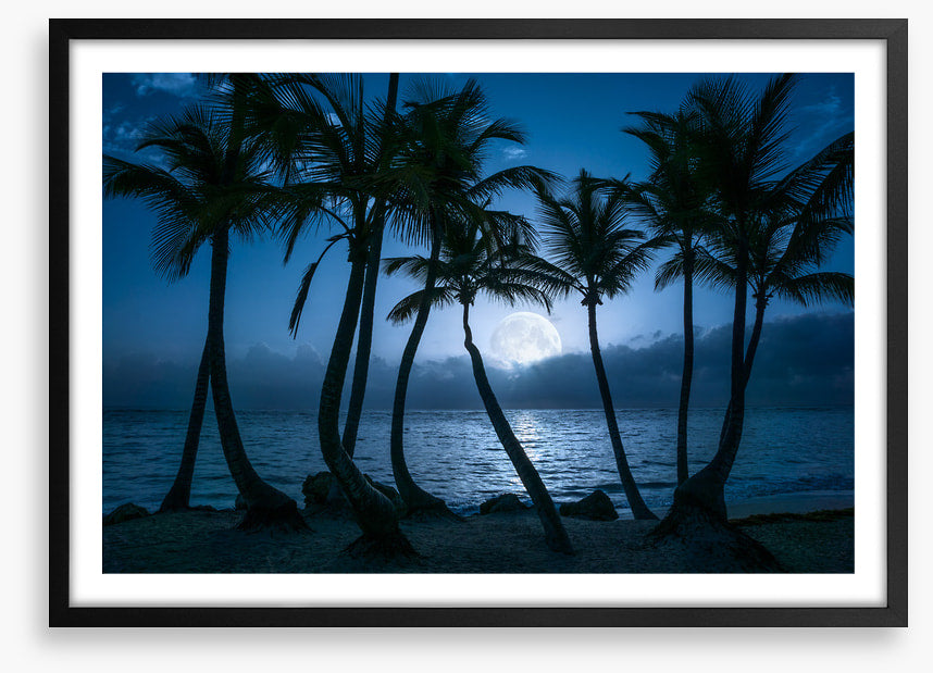 Full moon palms