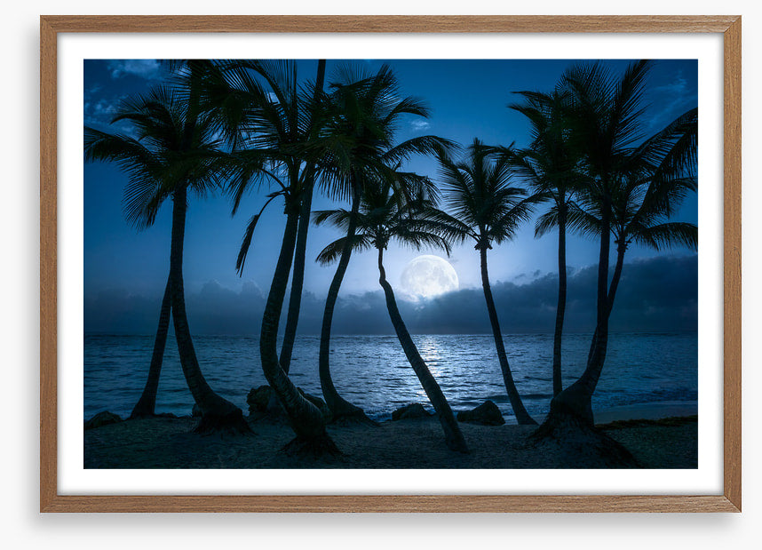 Full moon palms
