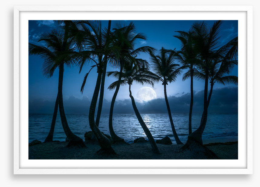 Full moon palms