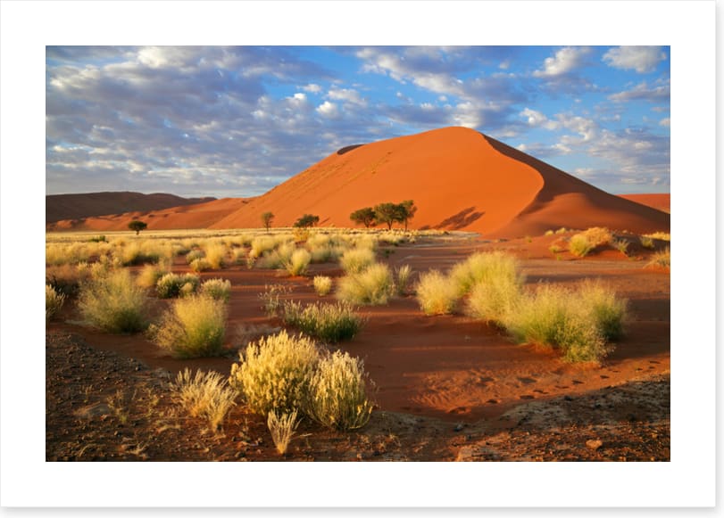 Desert
