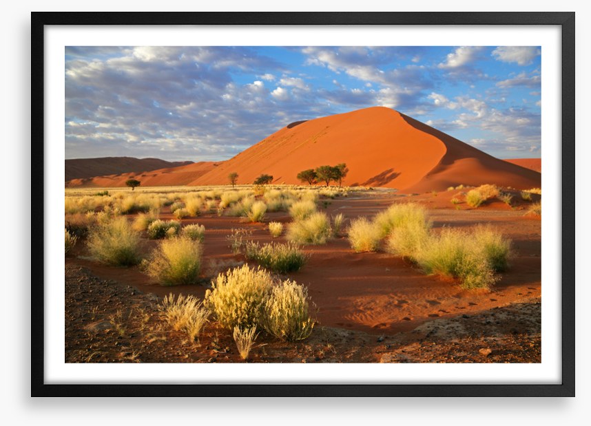 Desert