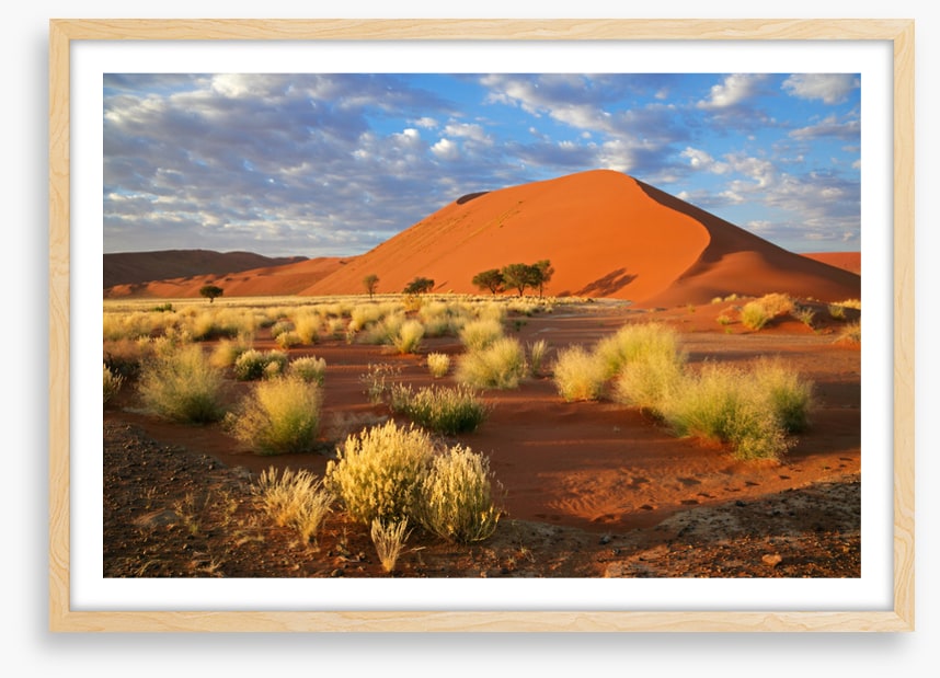 Desert