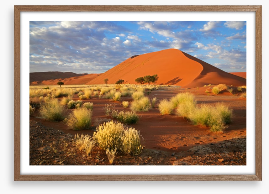 Desert