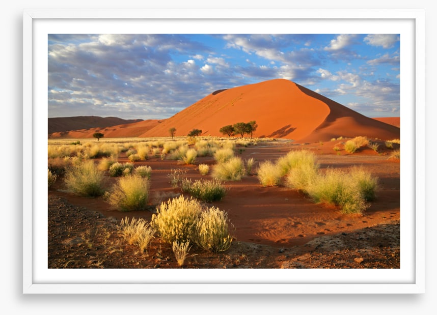 Desert