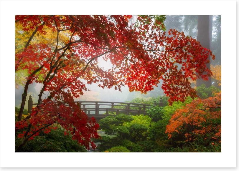 Fall at the Moon Bridge