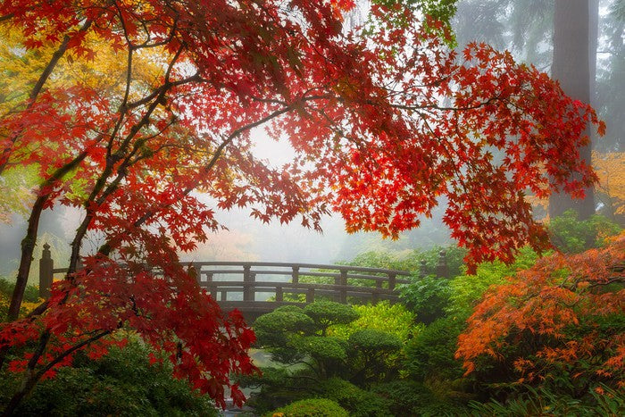 Fall at the Moon Bridge