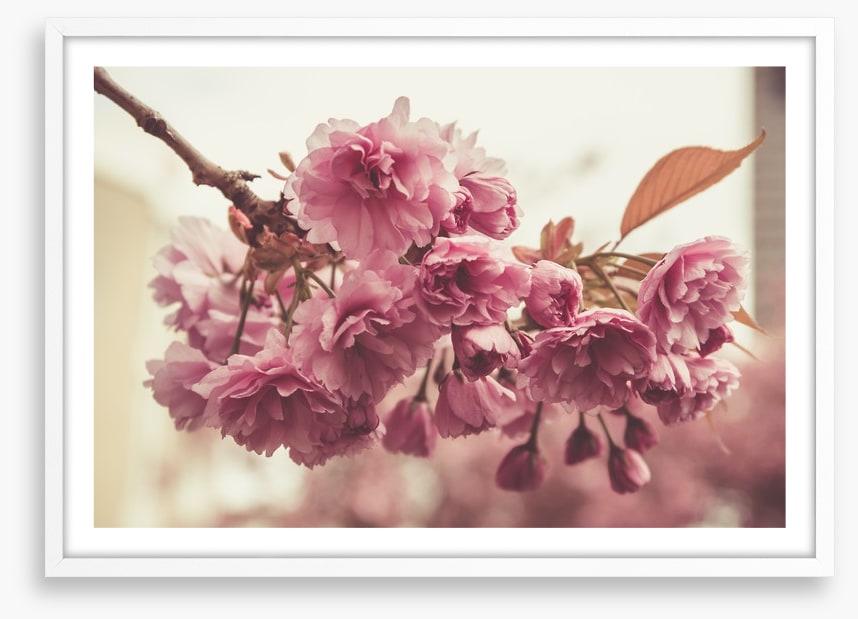 Vintage bloom