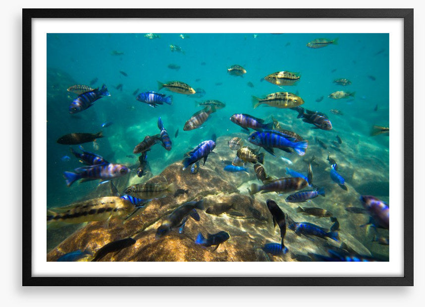 Underwater