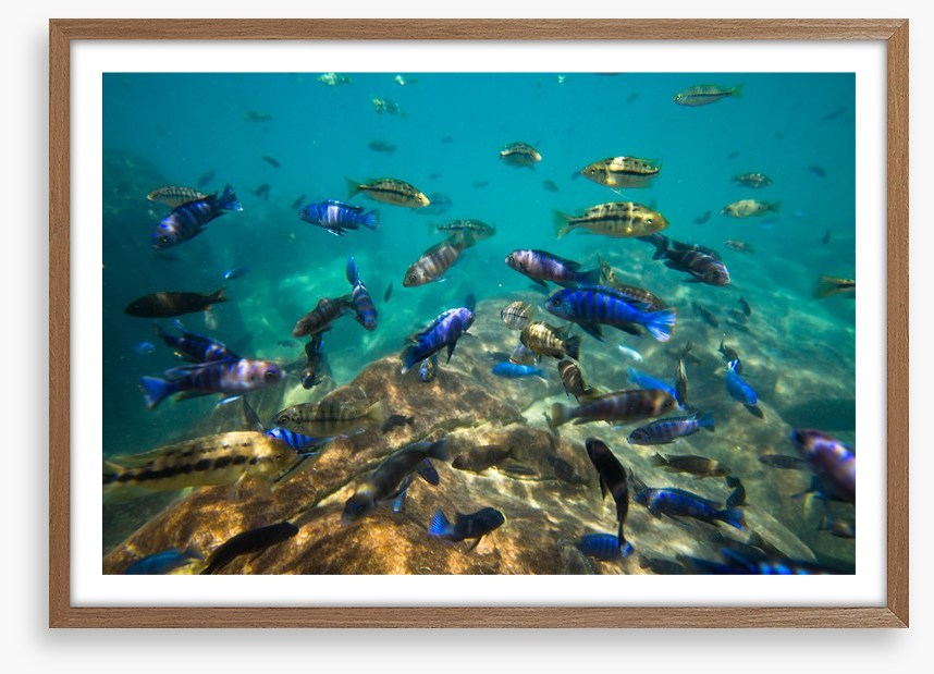 Underwater