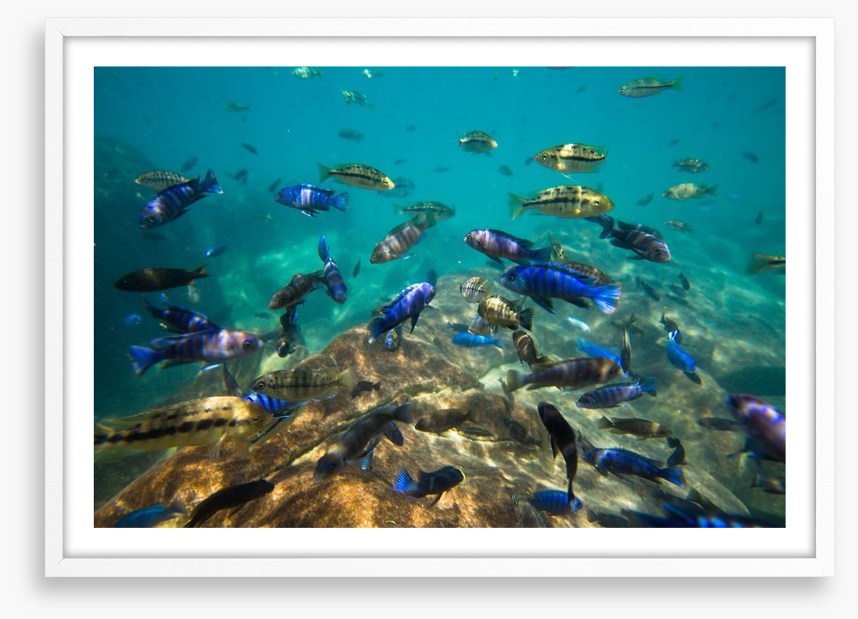 Underwater