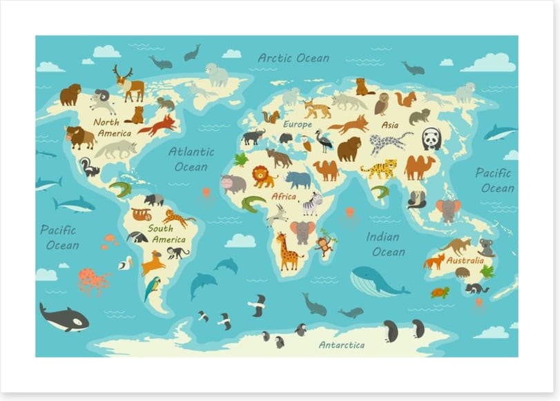 Animals of the world