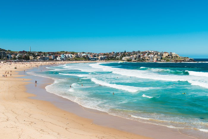 Bondi bliss
