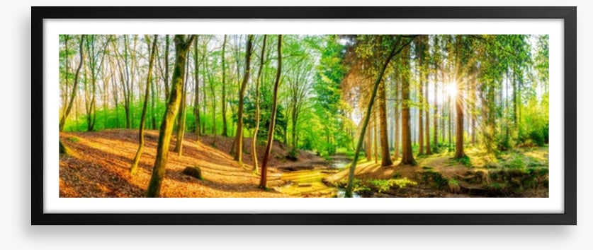 Sunbeam stream panorama
