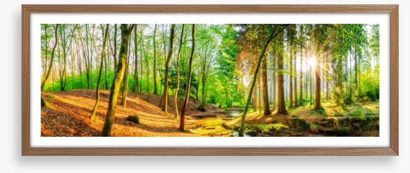 Sunbeam stream panorama