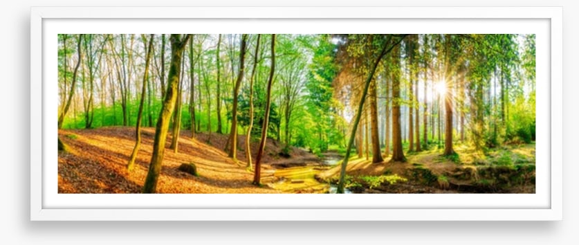 Sunbeam stream panorama