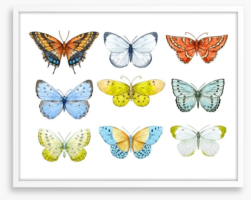 Butterfly nine
