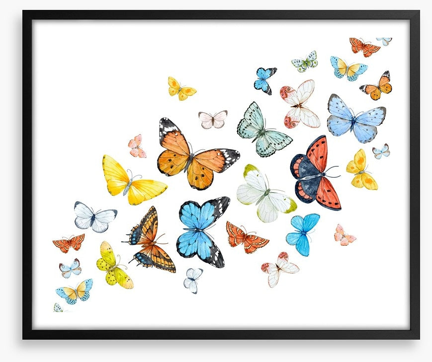 Butterfly flight