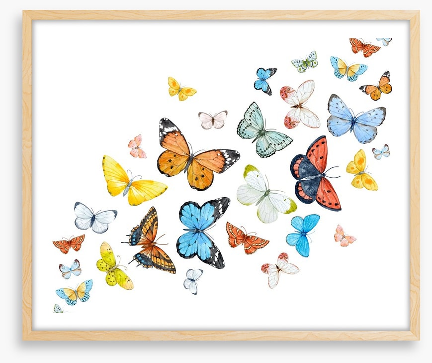Butterfly flight