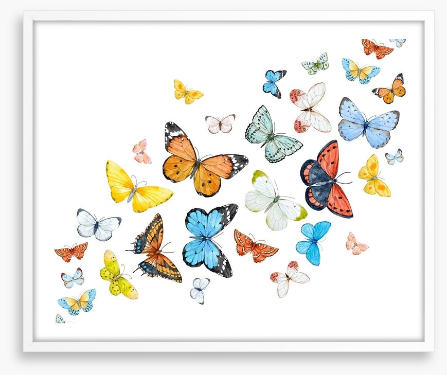 Butterfly flight