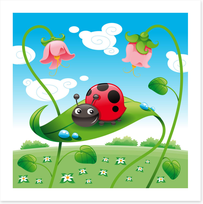 Ladybird on a leaf