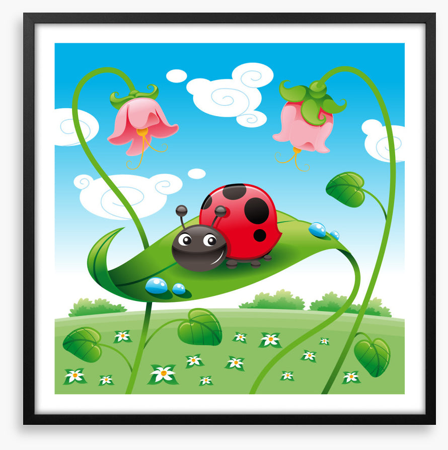Ladybird on a leaf