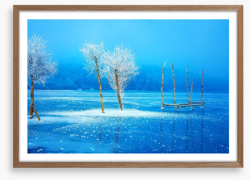 The frozen lake