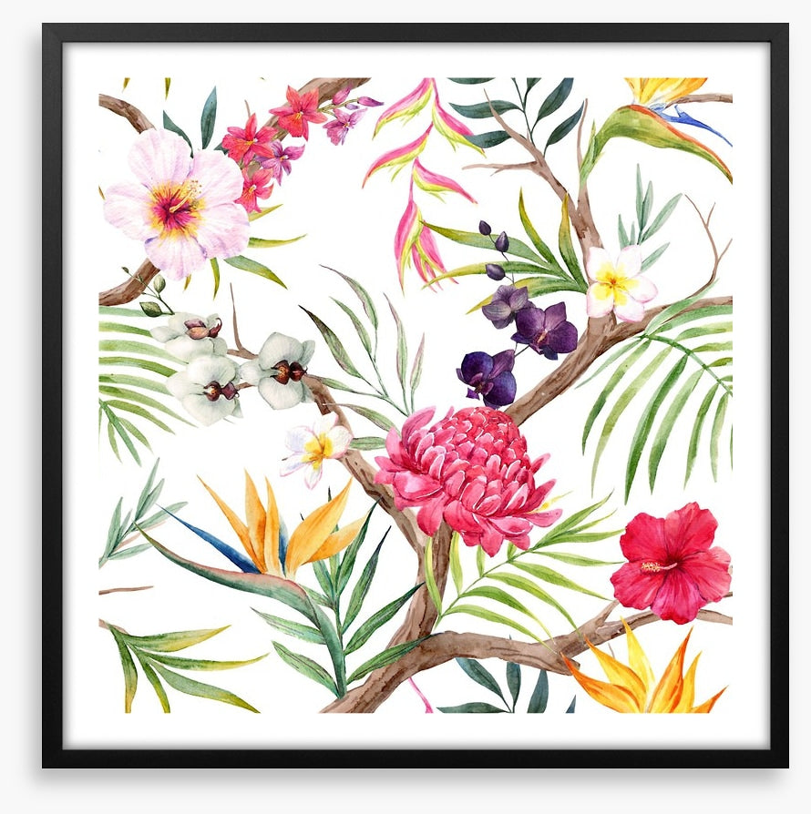 Botanical beauty