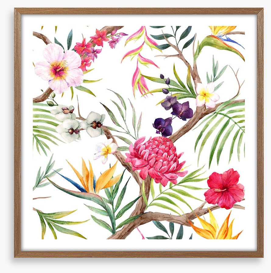 Botanical beauty