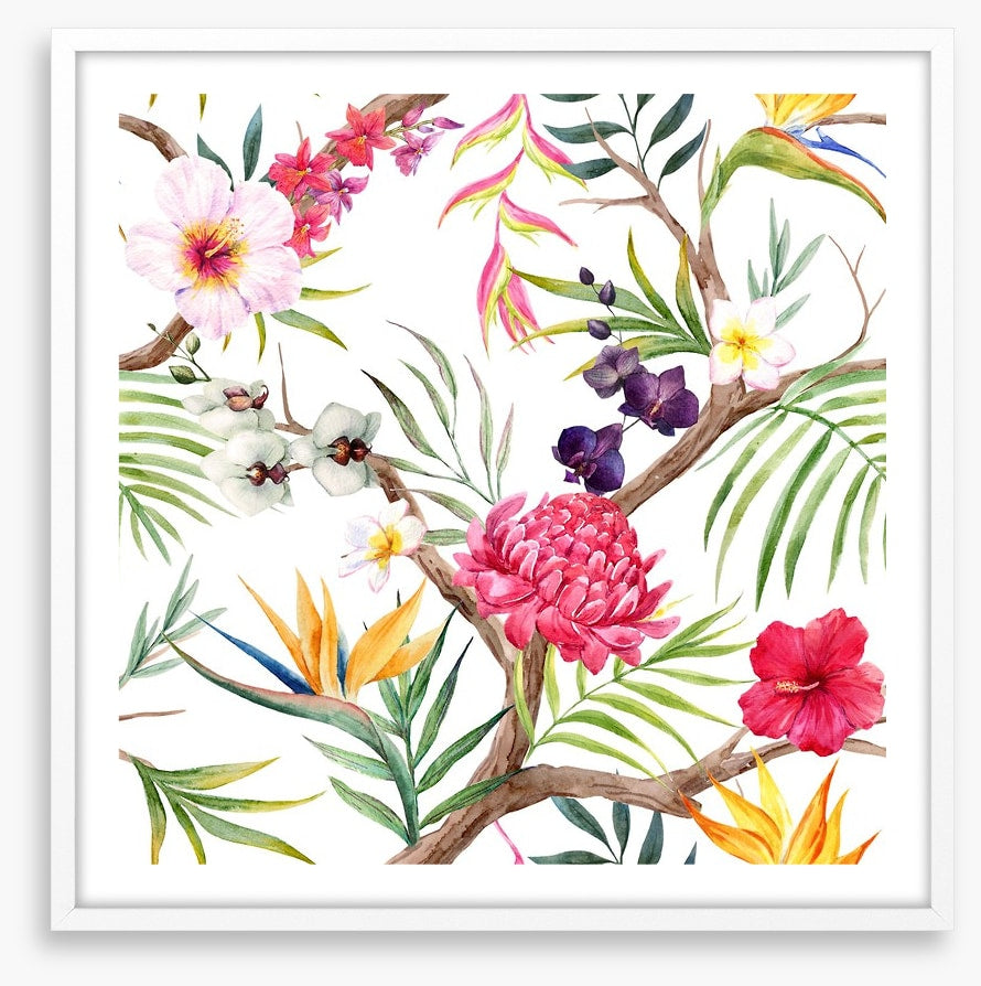 Botanical beauty