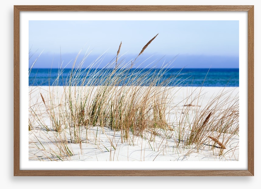 Sandgrass