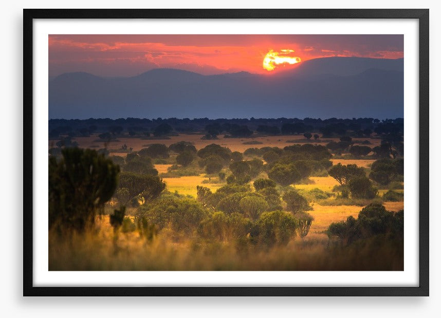 Africa