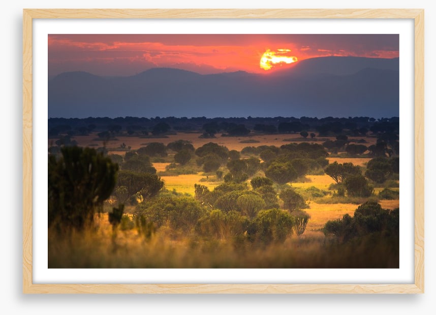 Africa