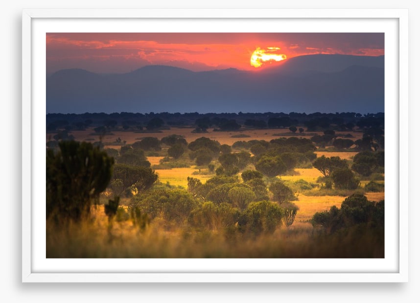 Africa