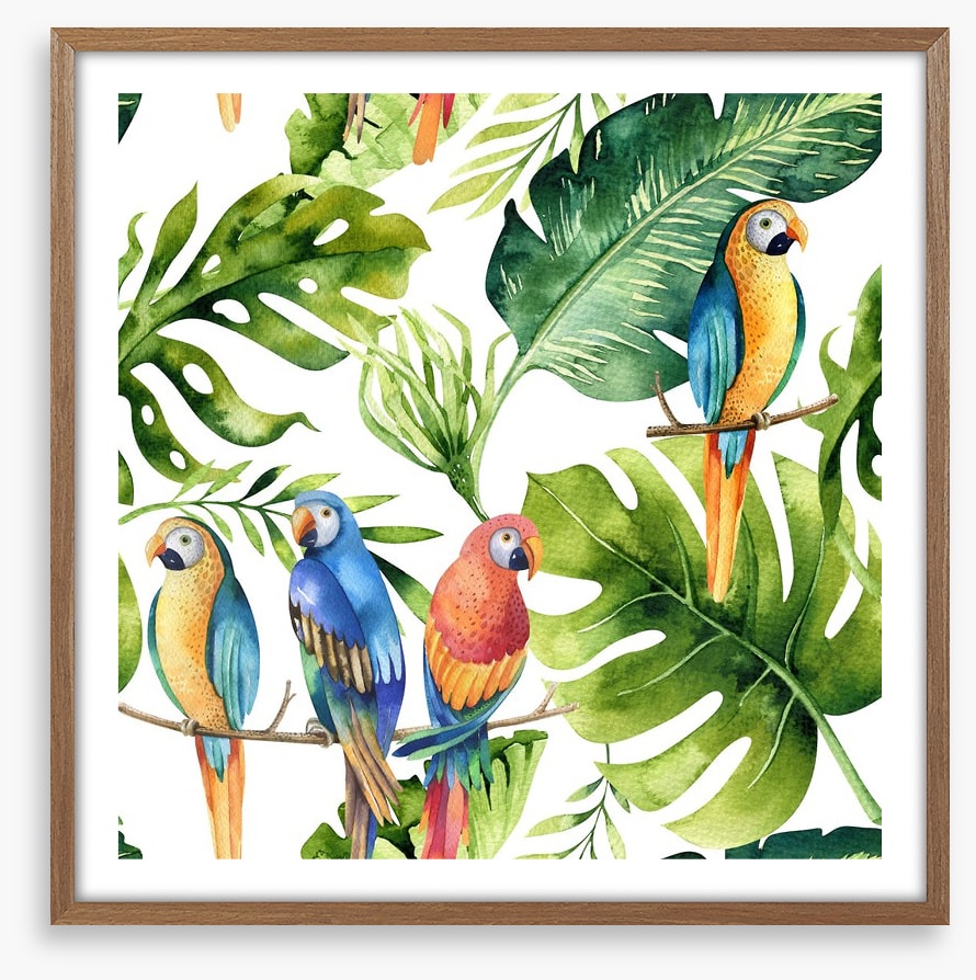 Odd bird out