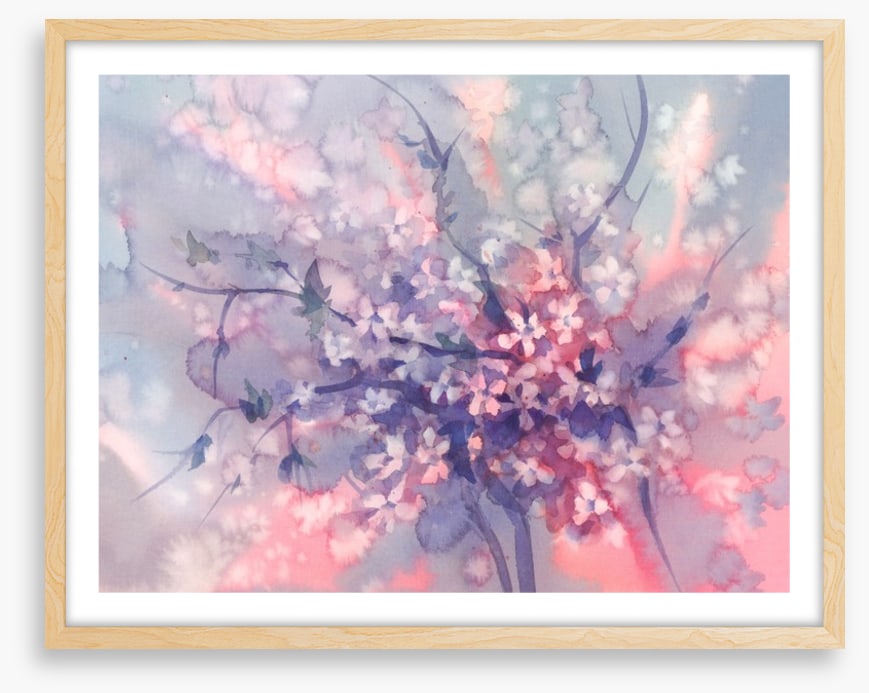 Sakura branch bloom