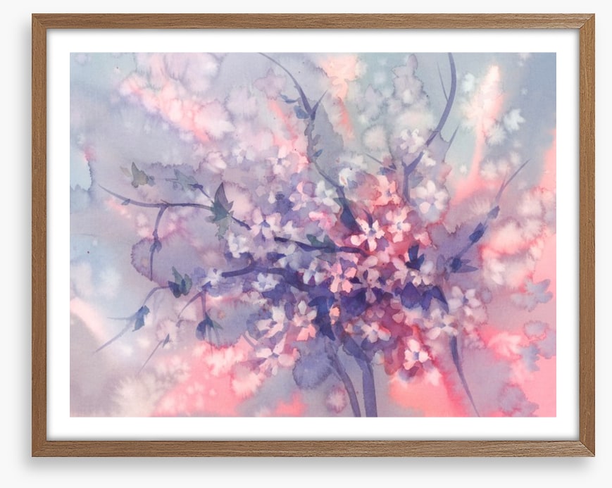 Sakura branch bloom