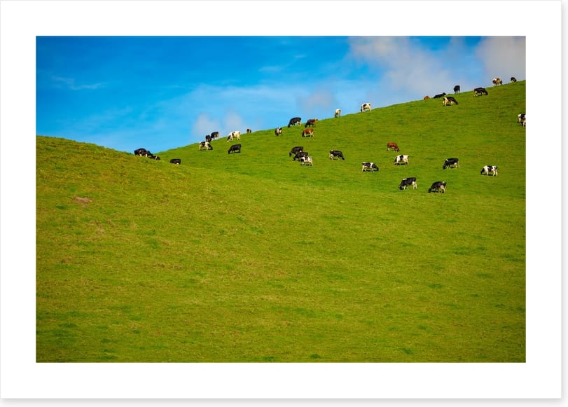 Agriculture