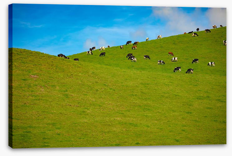 Agriculture