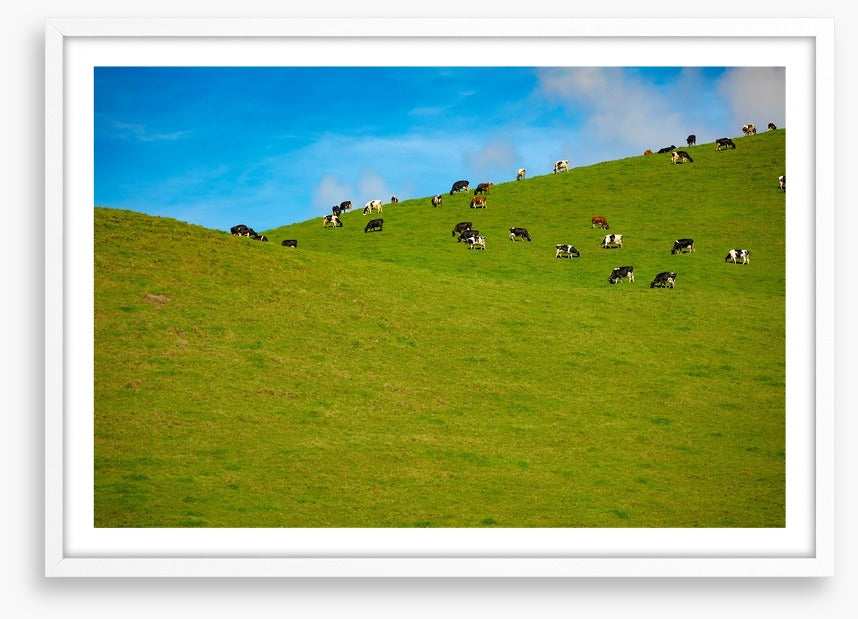 Agriculture