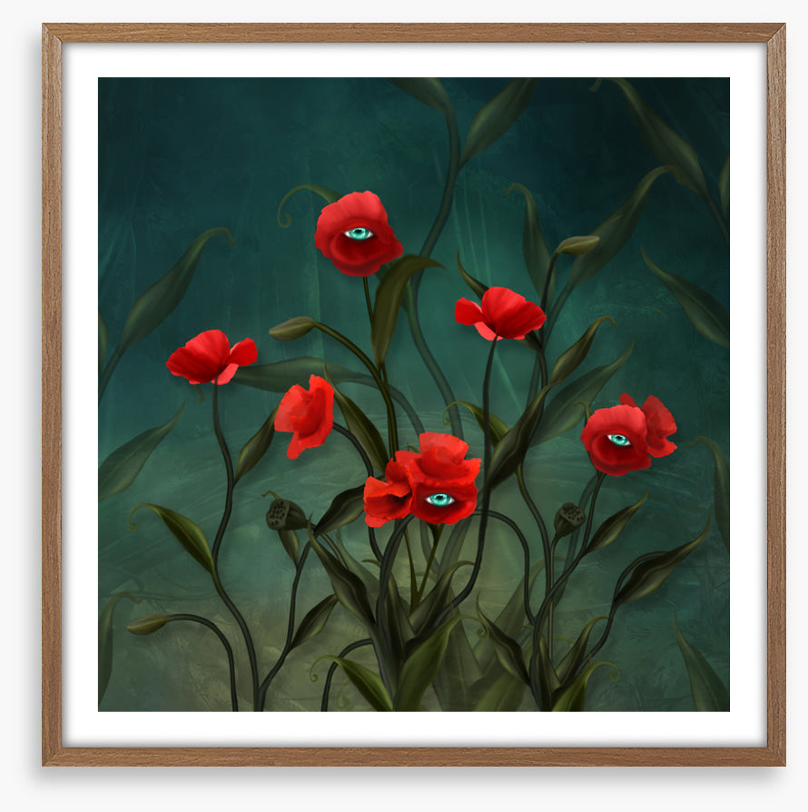 Peeping poppies