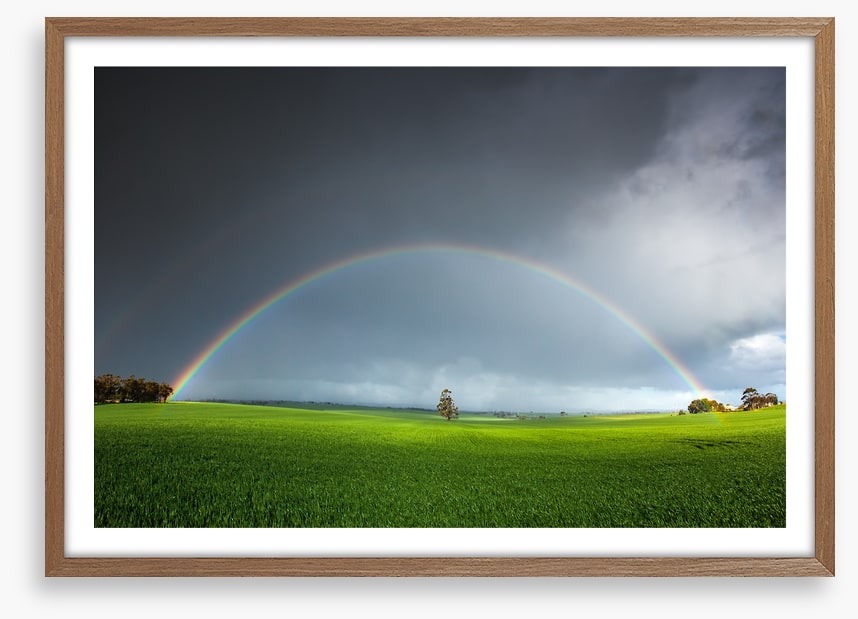 Under the rainbow