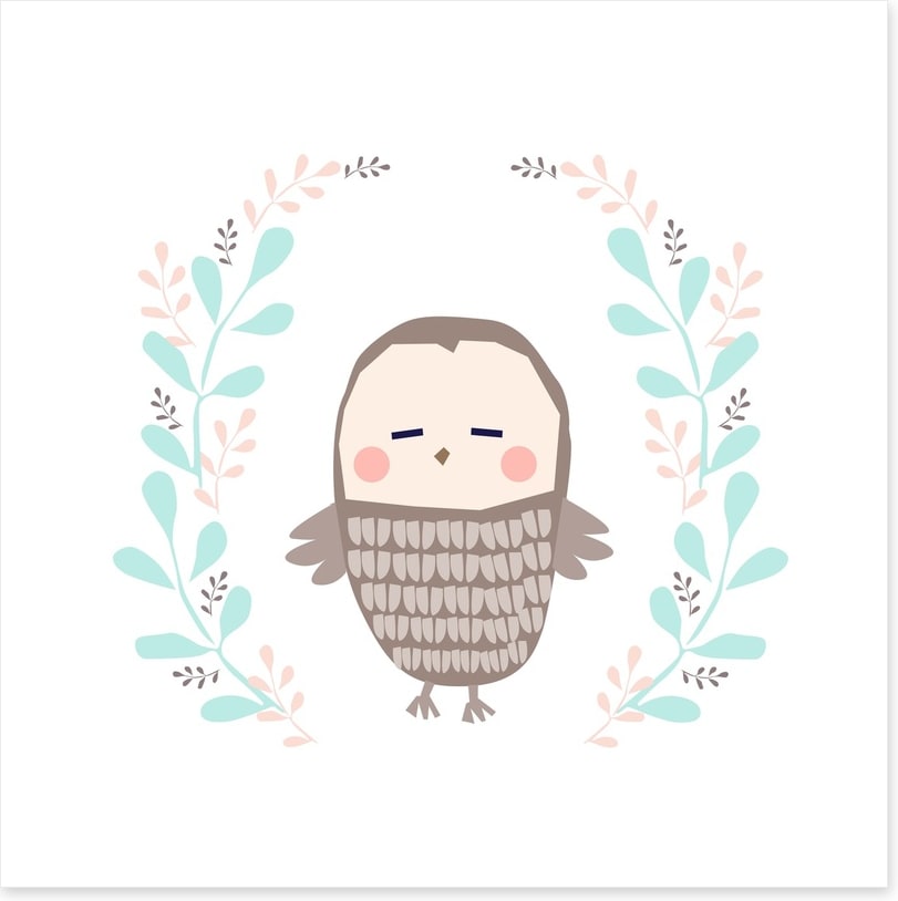 Owls